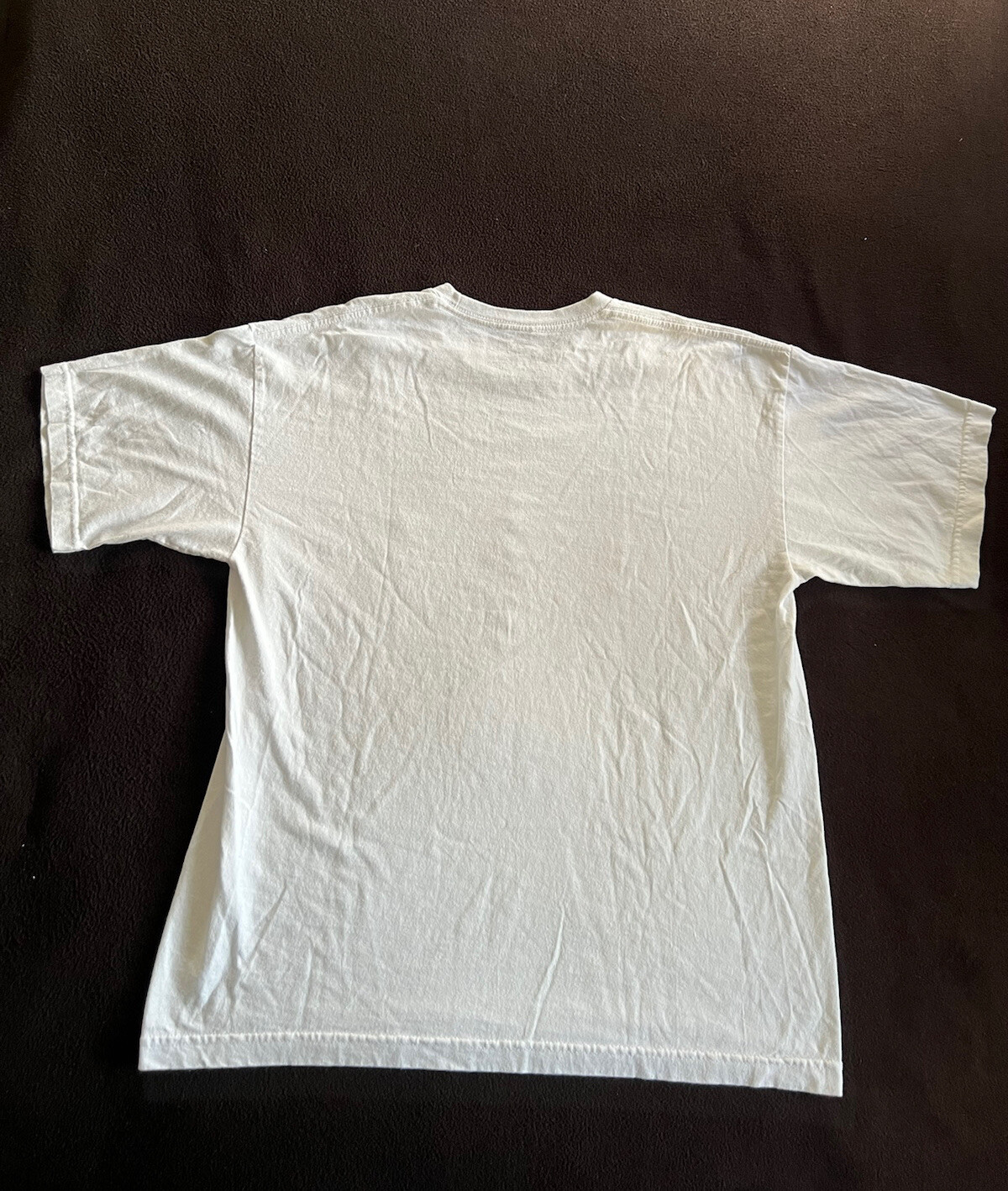 Official Appomattox Court House National Historical Park T-shirt RARE 4/9/1865