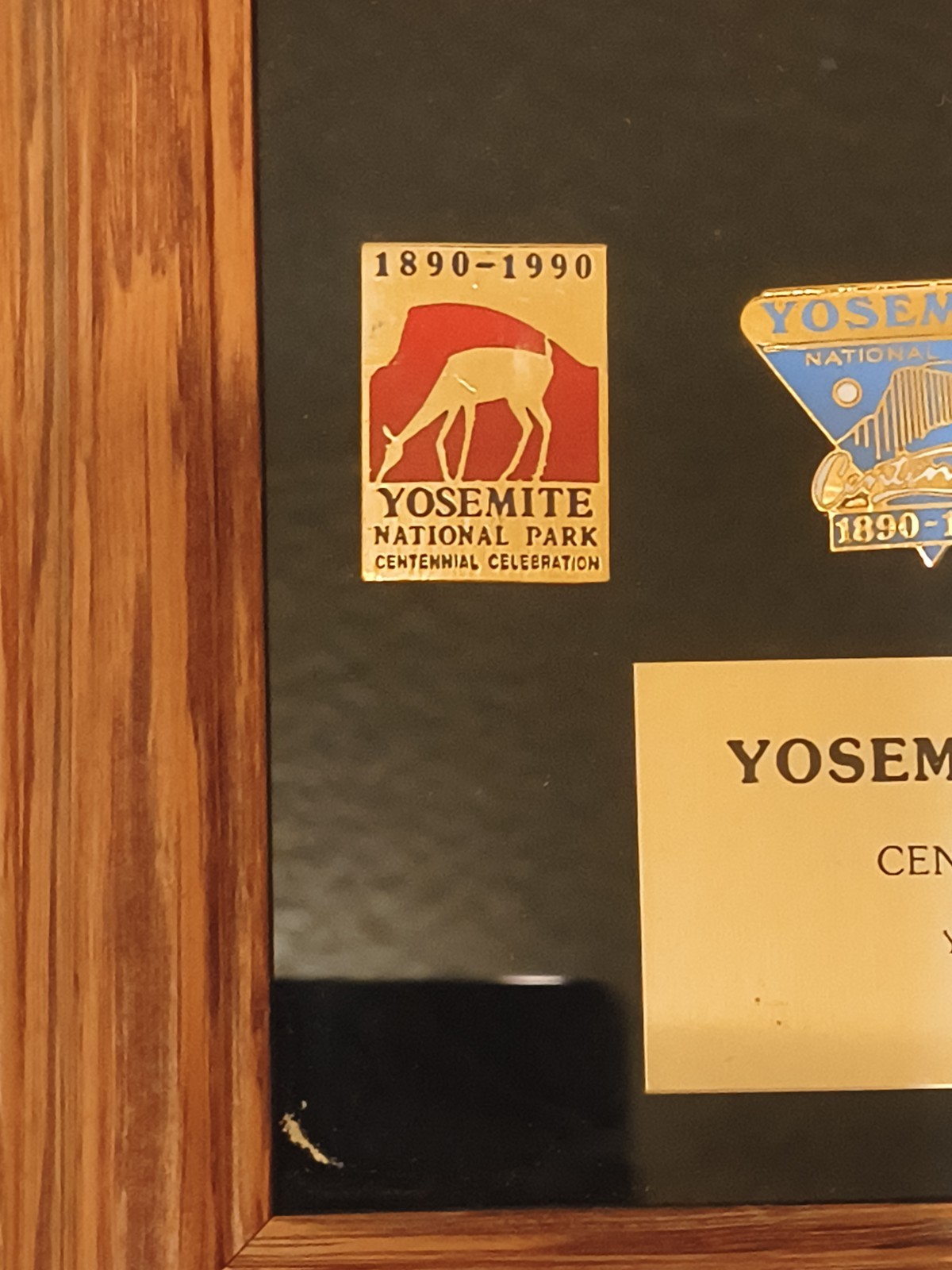 1890-1990 Yosemite National Park Centennial pin Collection – 87/2500 –