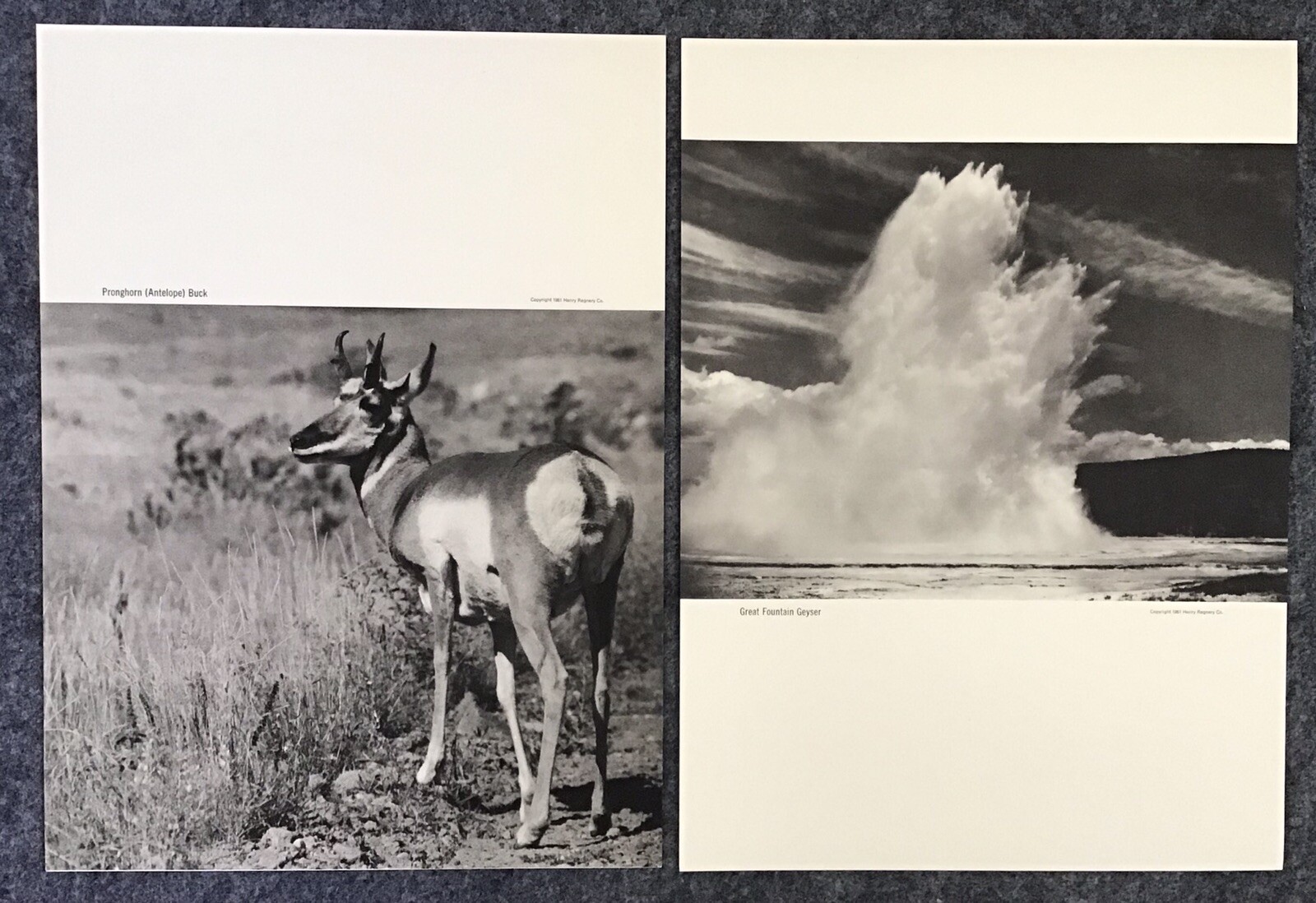 1951 Photographer Franz Lipp Yellowstone Natl Park 12 Image Portfolio 10×13.75”