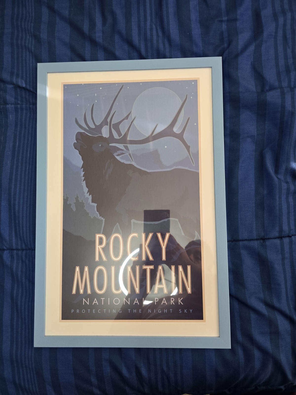 Rocky Mountain National Park Elk Poster 11×17