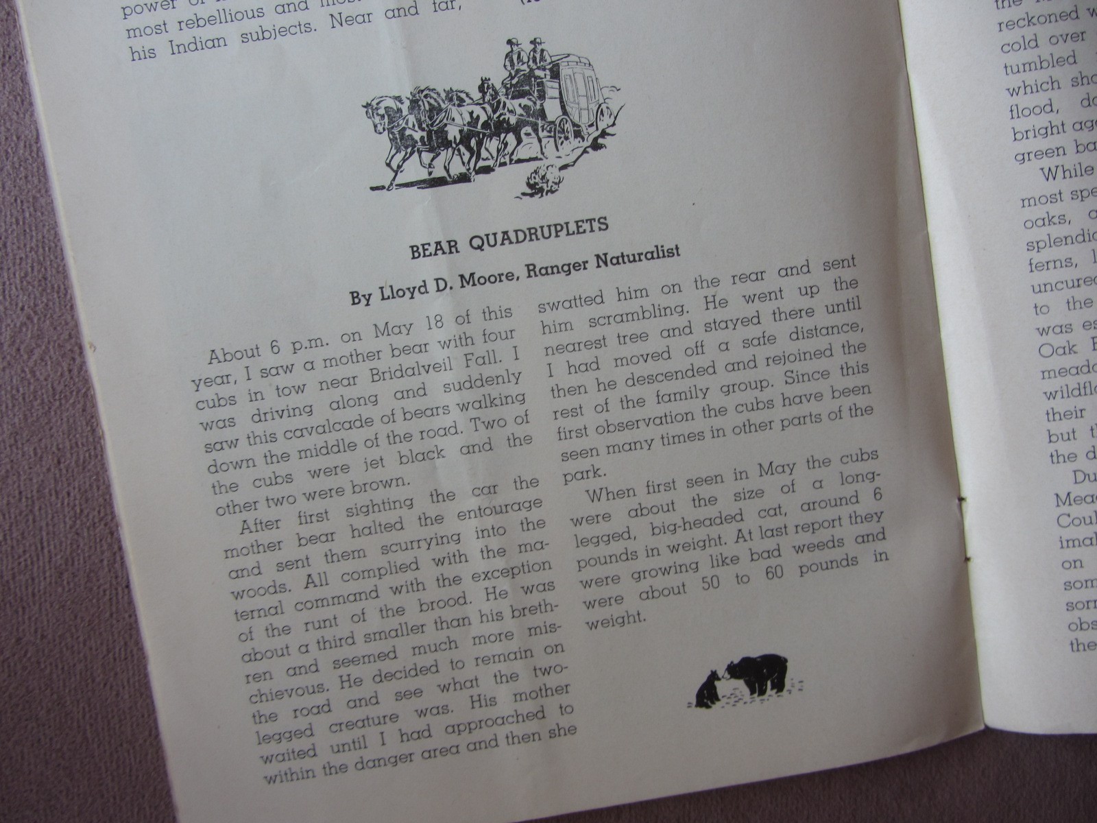 Vtg 1951 YOSEMITE National Park Nature Notes * White Medicine Man James Savage