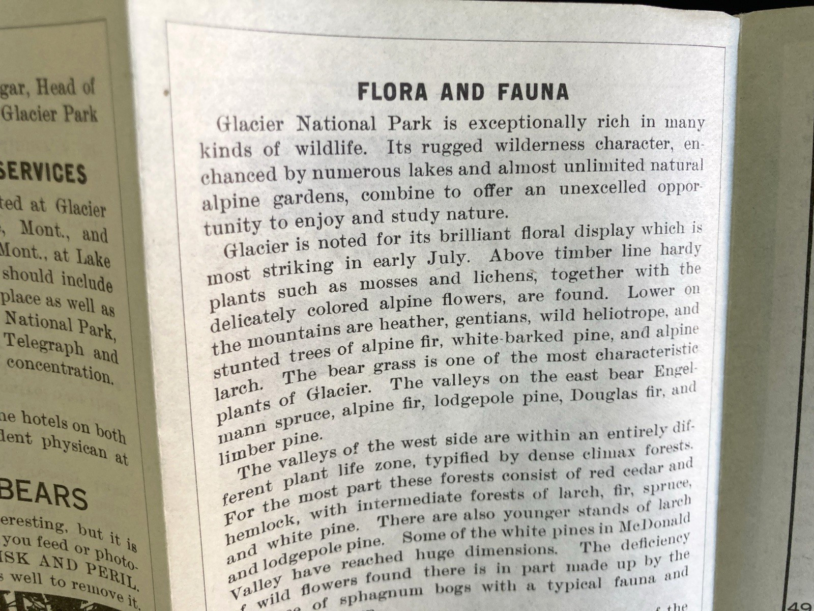 Vintage 1938 Motorists Guide GLACIER National Park Brochure Outdoors Hiking