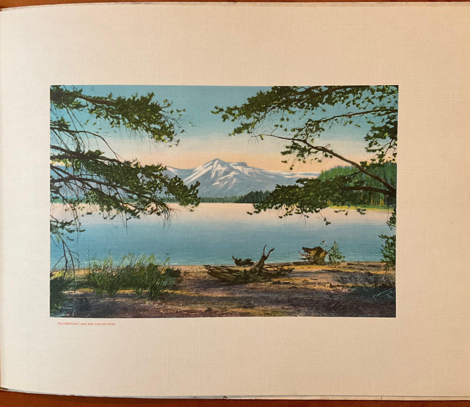 VINTAGE Yellowstone National Park Haynes Picture Shops Souvenir Booklet/Pic’s￼