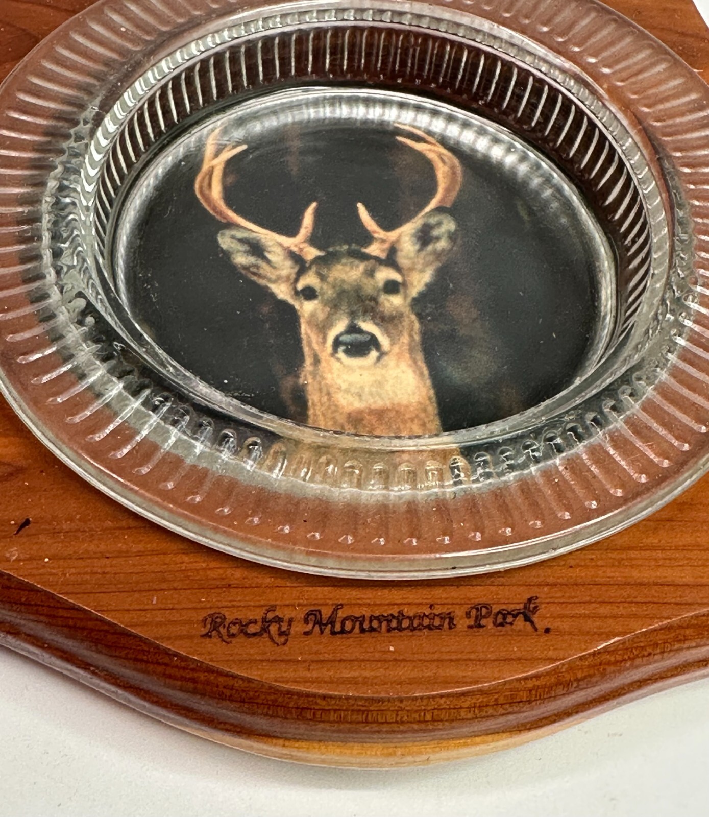Vintage Rocky Mountain National Park ASHTRAY WOOD AND GLASS WITH DEER