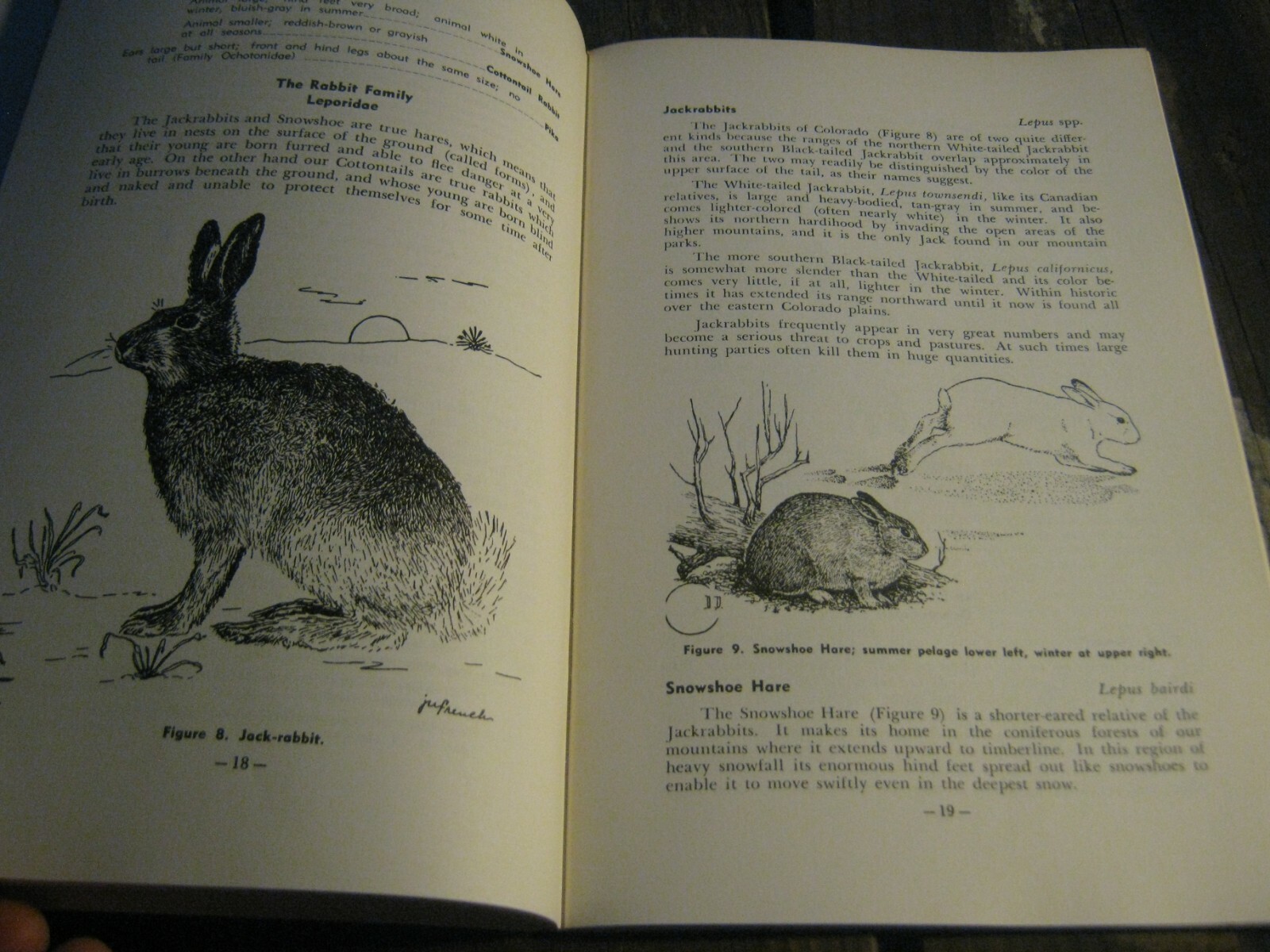 1967 Guide To The Mammals Of Colorado book by Hugo G. Rodeck