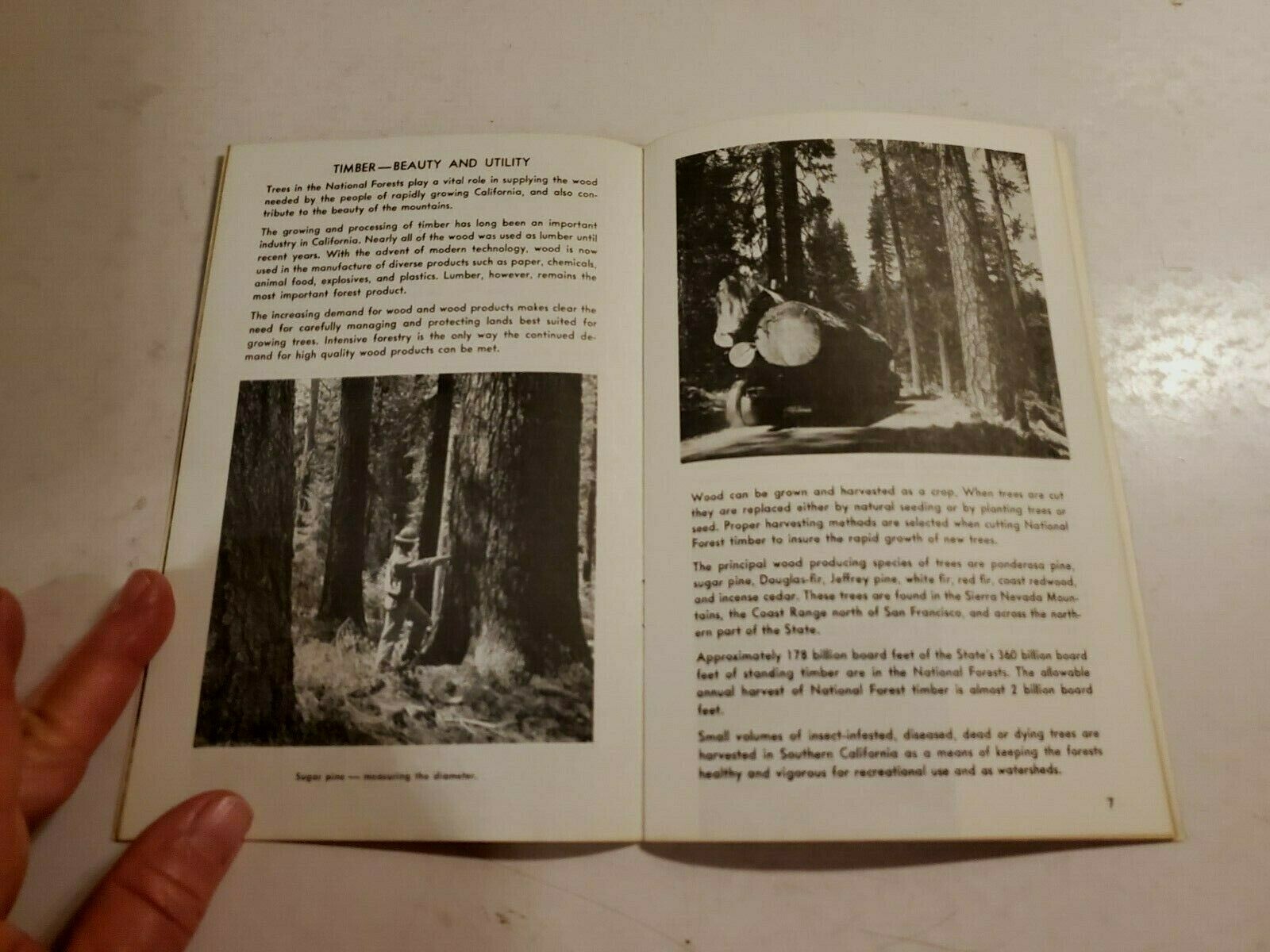 1964 NATIONAL FORESTS OF CALIFORNIA – U.S. DEPT. OF AGRICULTURE, PB, B301