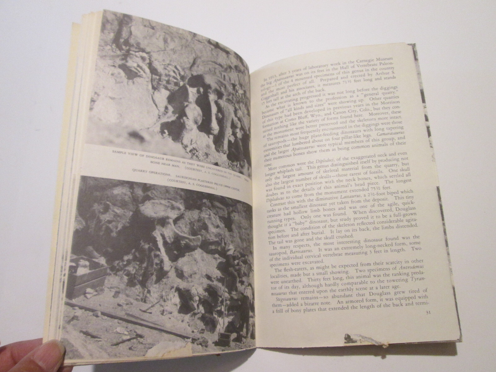 1958 Dinosaur Quarry Booklet & 1957 Dinosaur Nat’l Monument Brochure NPS