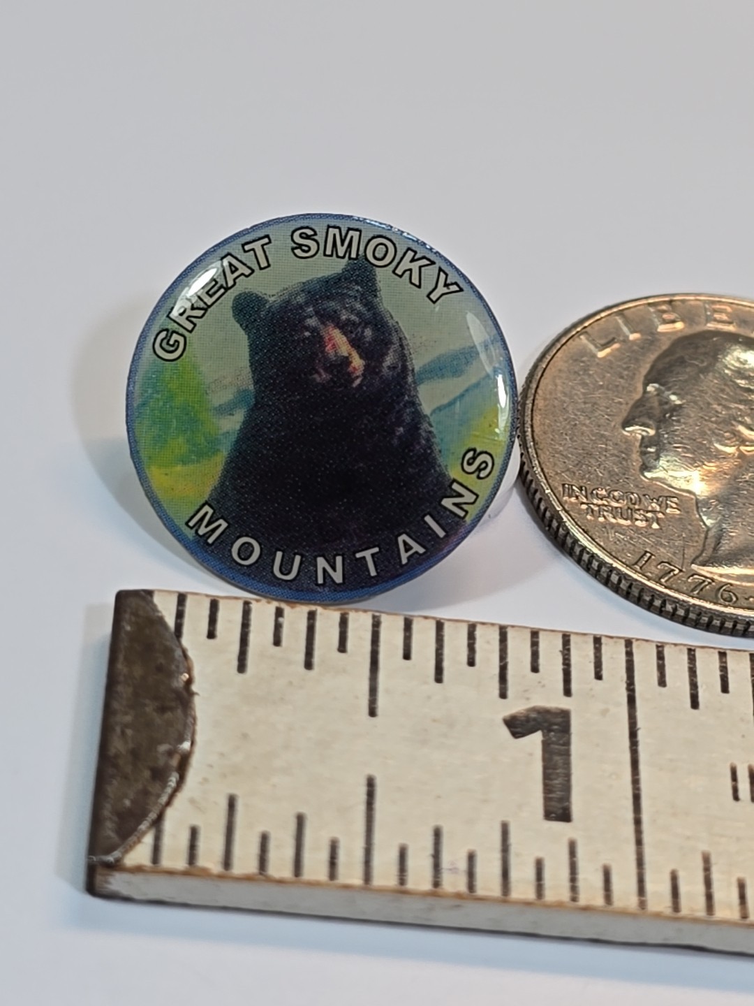 Great Smoky Mountains National Park Souvenir Pin North Carolina & Tennessee