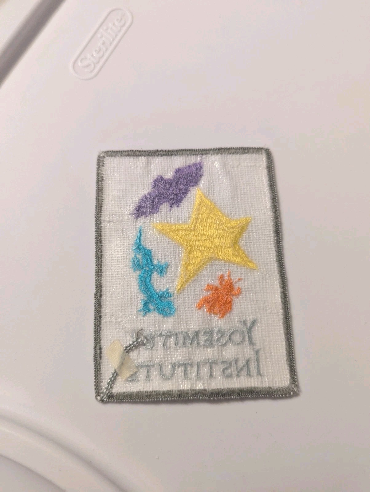 Yosemite Institute Patch (AKA Nature Bridge) Bat Star Lizard Insect on white.