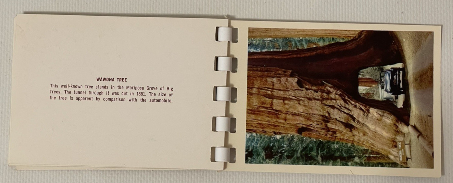 YOSEMITE NATIONAL PARK 10 Color Album Prints Small – 1953 VINTAGE – RARE