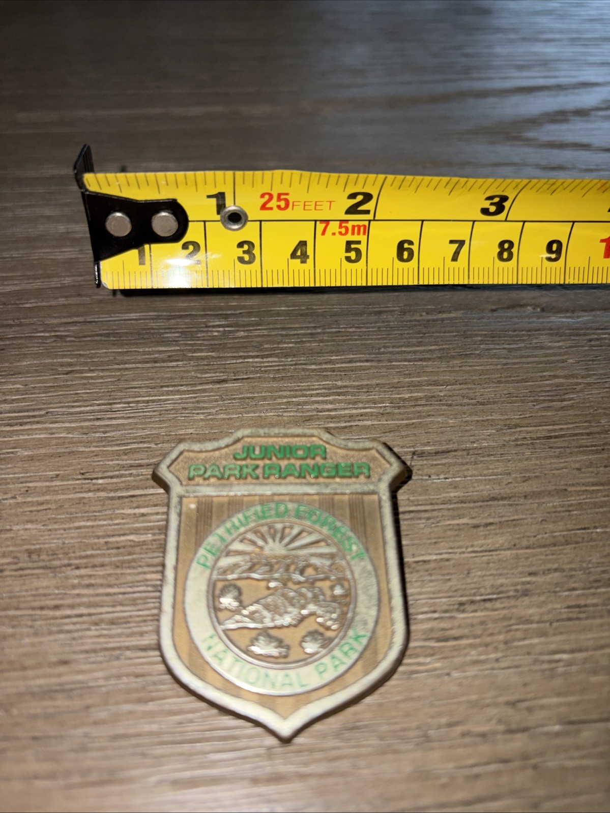 NPS JUNIOR PARK RANGER PETRIFIED FOREST NATIONAL PARK BADGE PLASTIC PIN/ NPS