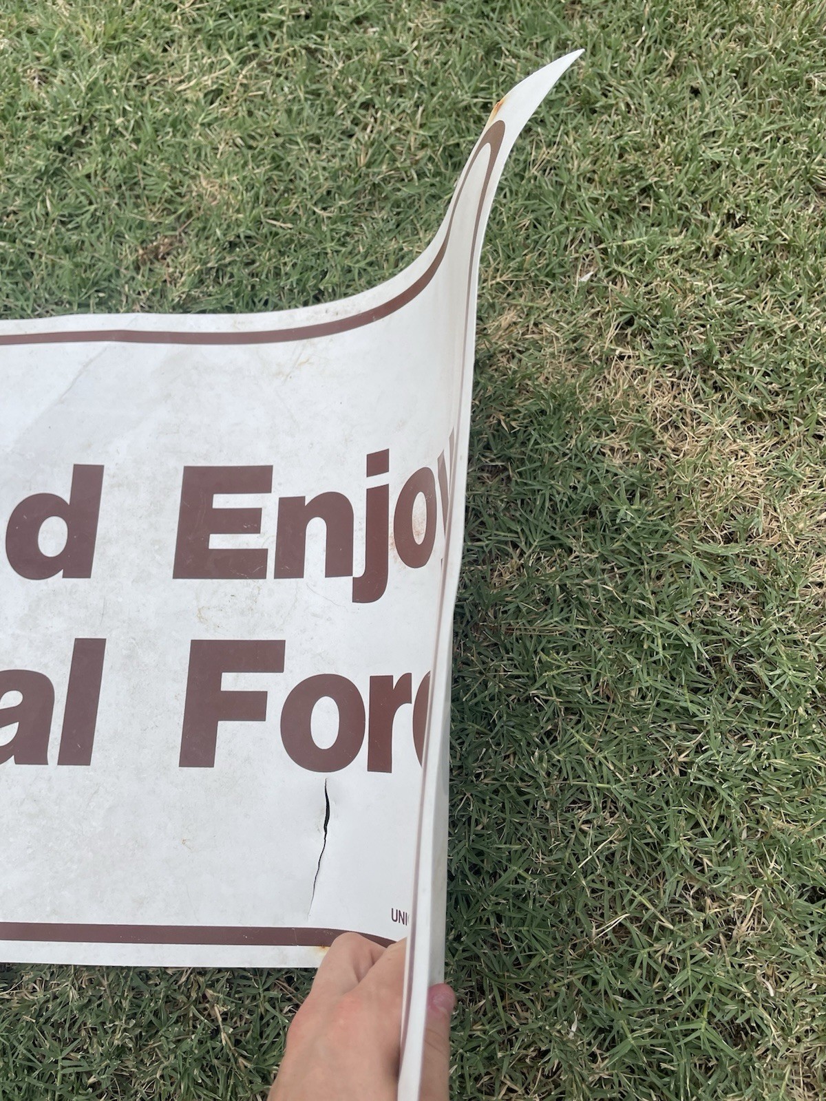 1990s National Forest Service Paper Sign protect And Enjoy Your National Forest