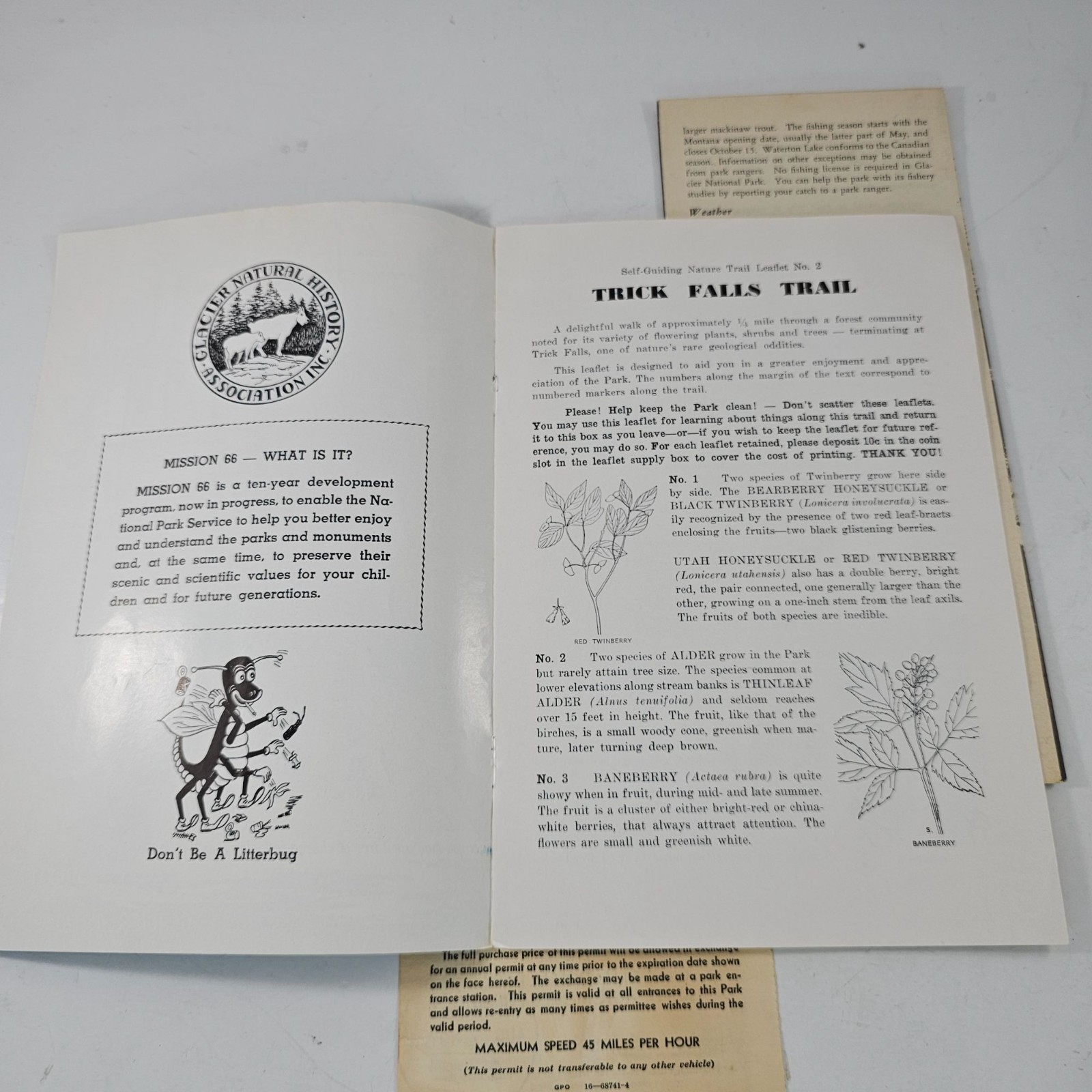 Glacier National Park Ephemera Lot: 2 Vintage Brochures& 1960 Automobile Permit