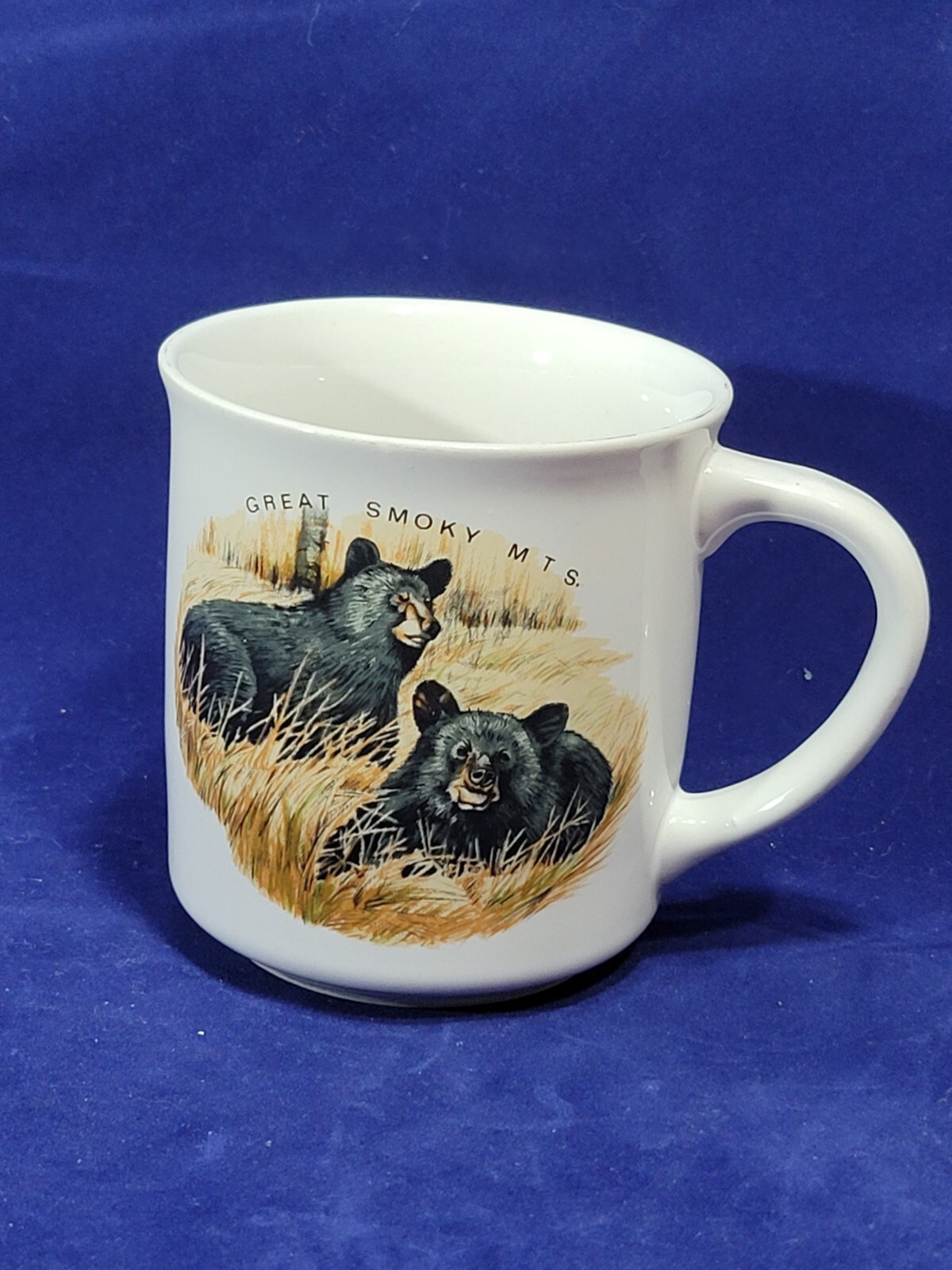 Vintage Great Smoky Mountains National Park Black Bears Coffee Mug Cup