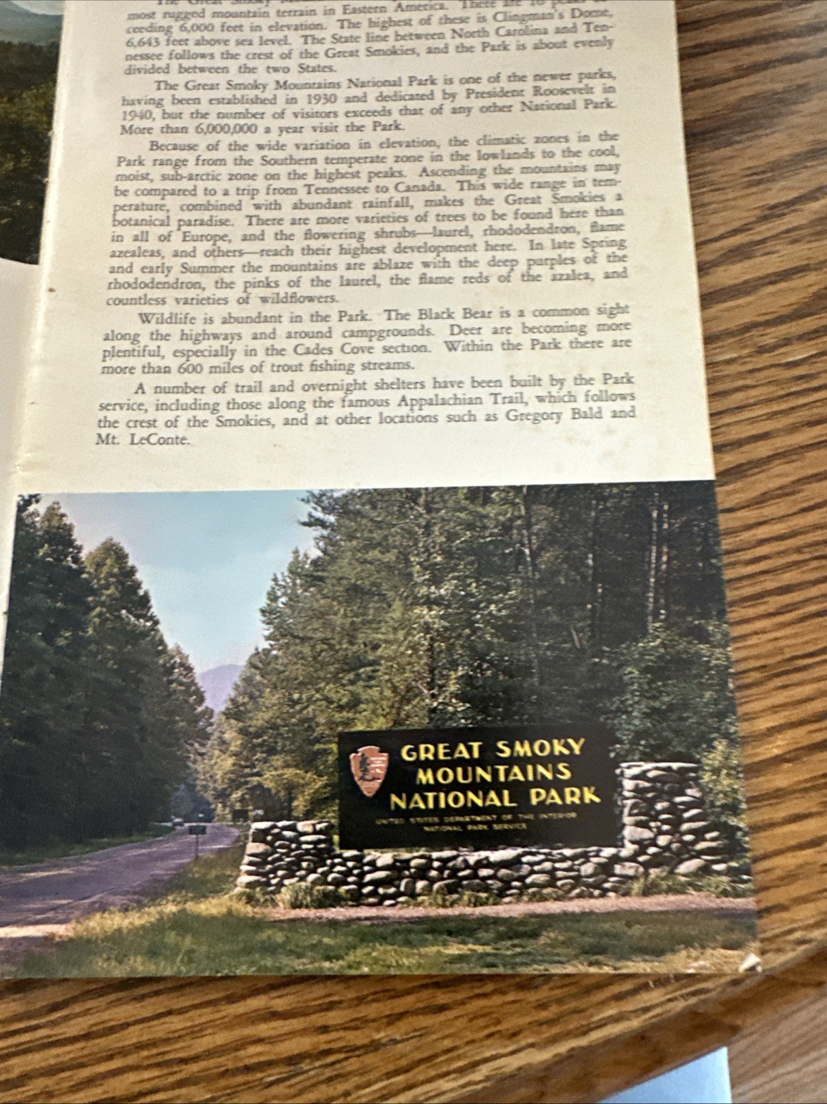 Vintage The Great Smoky Mountains National Park Booklet 1966 W.M. Cline Co.
