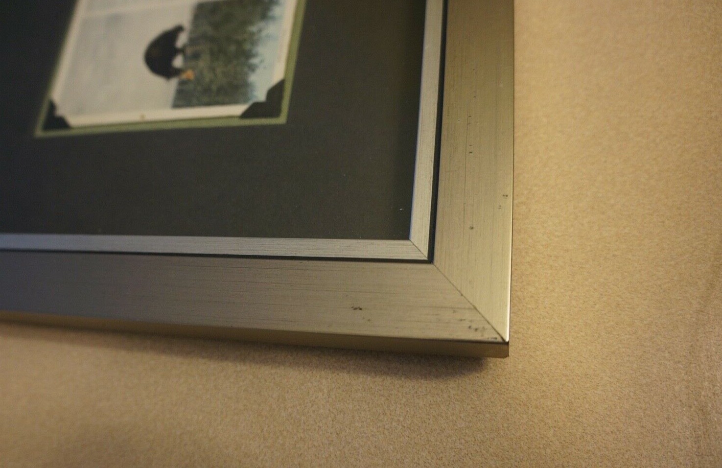 BEARS COOPERATING & USE TOOL Vintage RPPC Photo YELLOWSTONE NATIONAL PARK Frame!