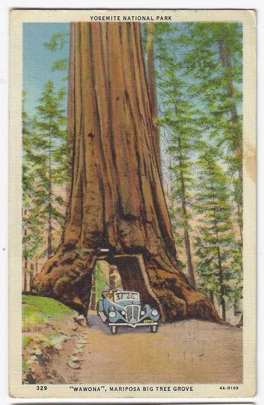 1909–56 mixed lot YOSEMITE NATIONAL PARK Brochures, Postcards, Print, Photos etc