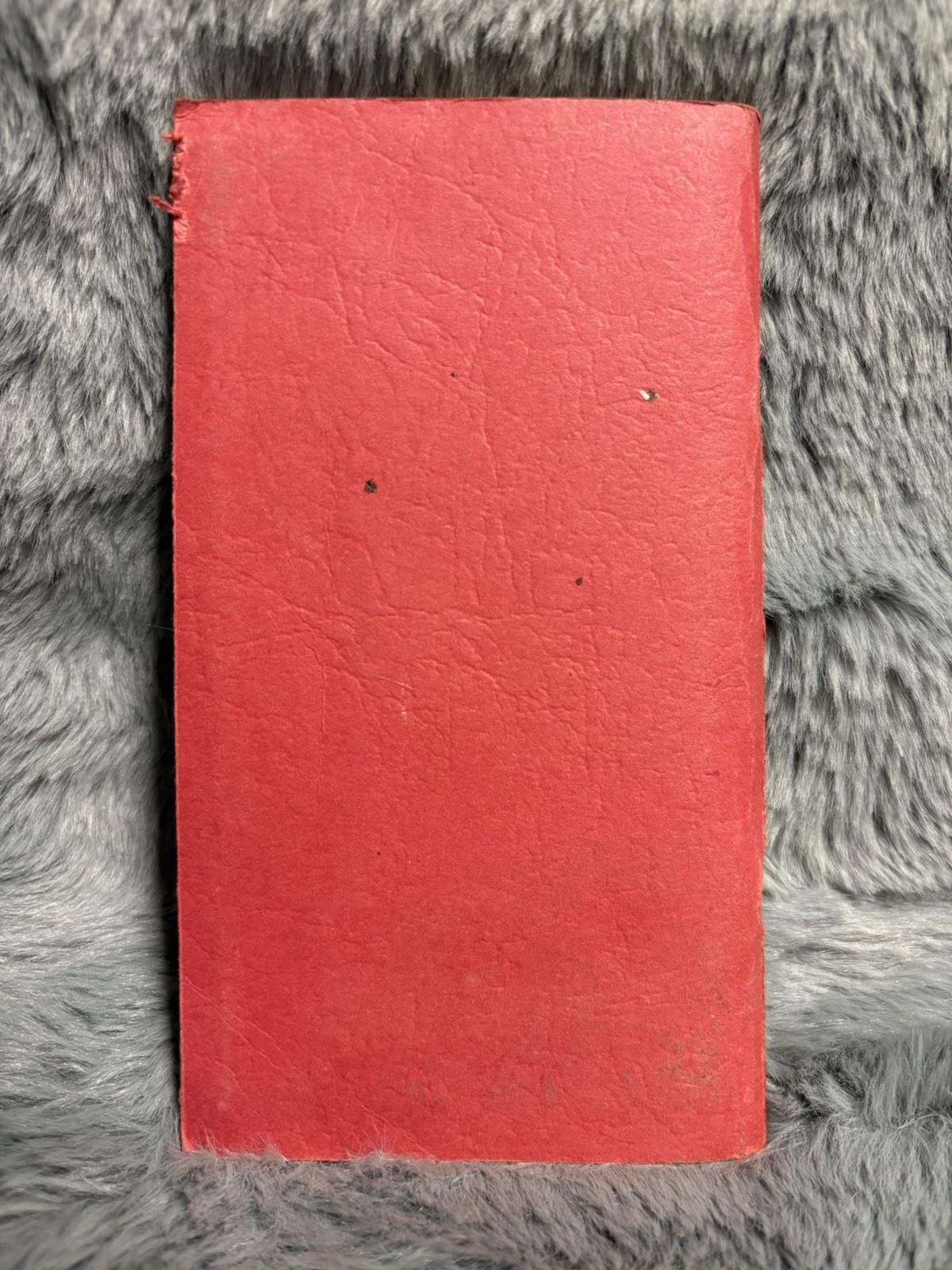 W. O. C. Trail Guide and Map – 1981 Hiking and Ski Touring – Vintage Book