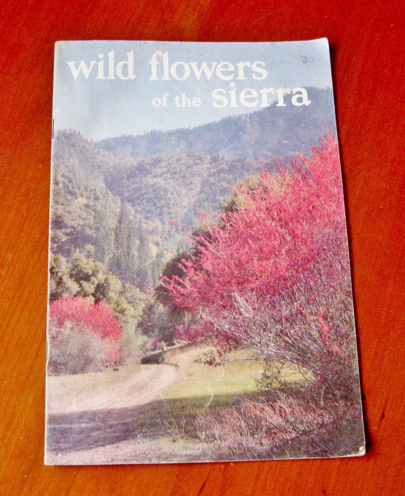 1950s Inspiration Point Yosemite National Park Wild Flowers of the Sierra USA