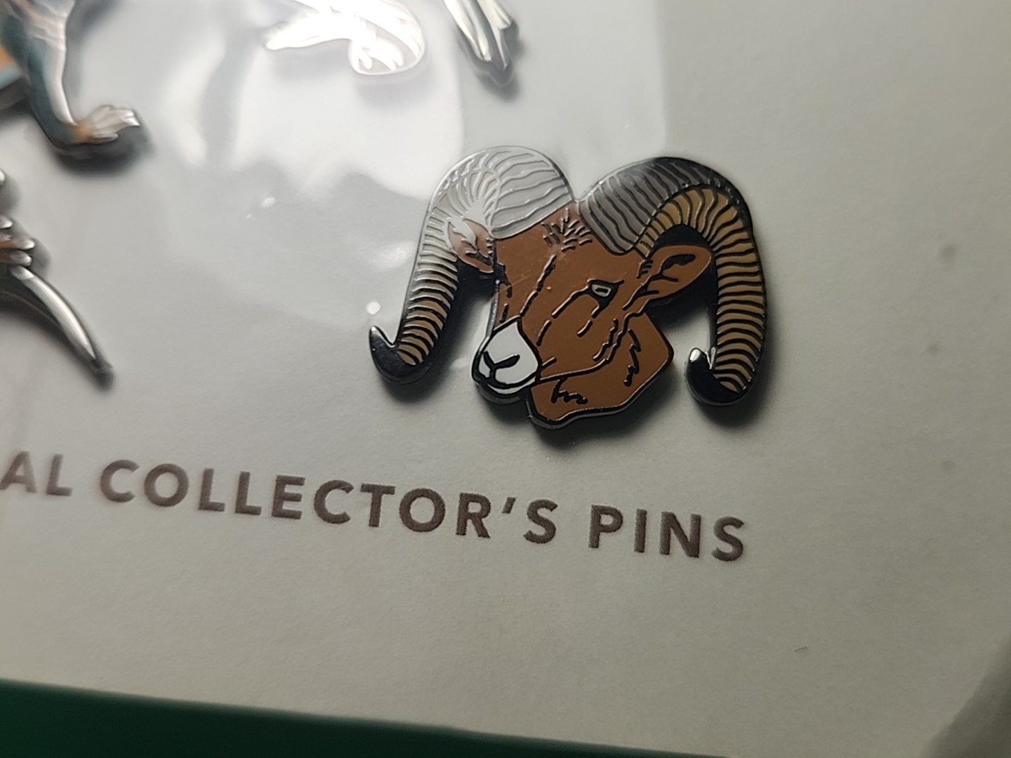 Canyonlands National Park Utah Canyon Country Desert Wildlife Pin Raven Lizard