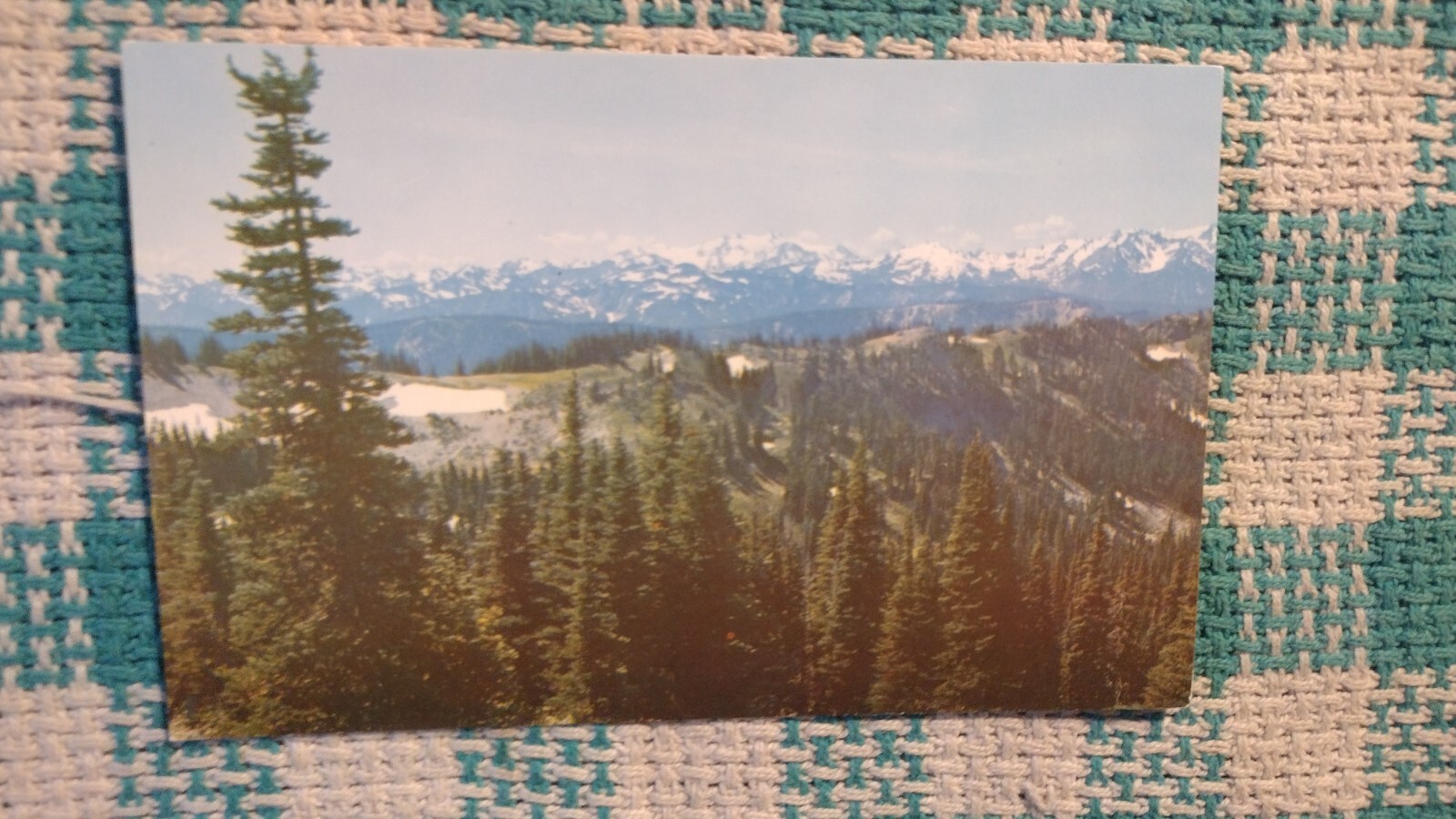 VINTAGE POST CARD SNOWY OLYMPIC MOUNTAINS STATE OF WASHINGTON