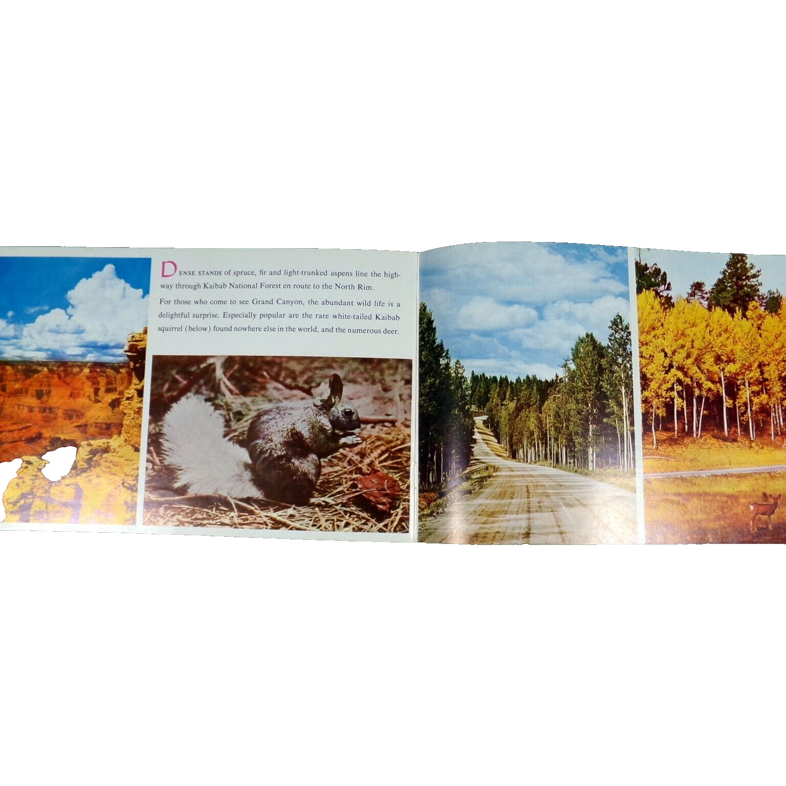 Vtg Bryce Canyon Zion Grand Canyon Souvenir Booklet with Colorado River Country