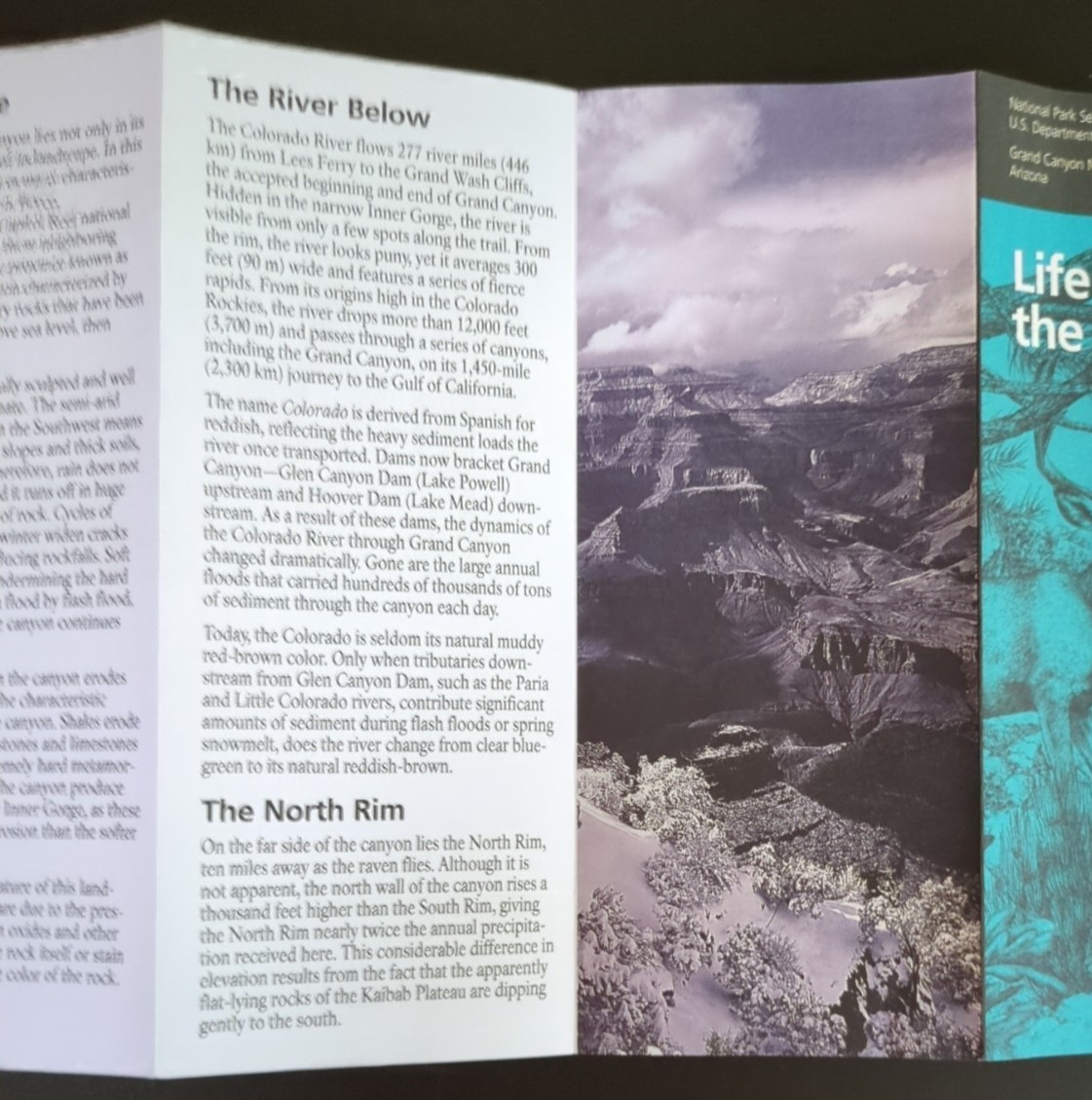 Grand Canyon National Park Geology/Life Along the Rim Brochure