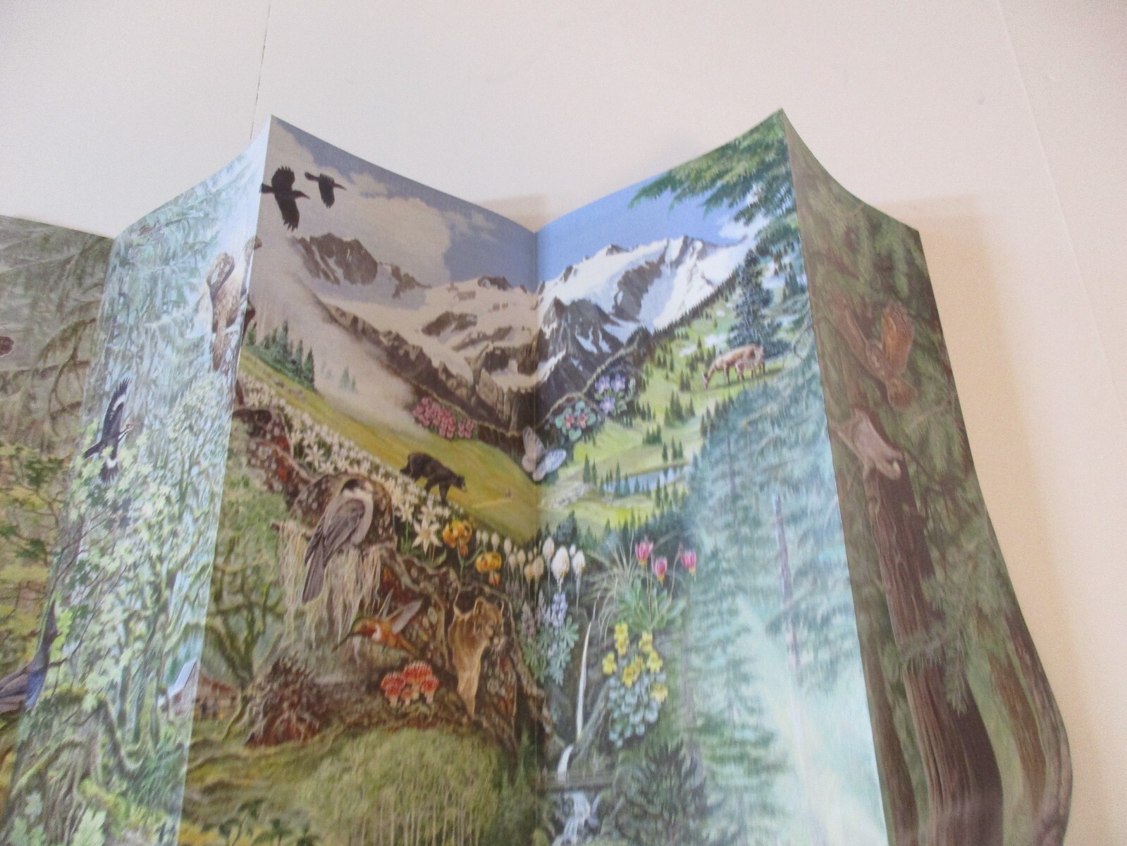 2020 Olympic Washington National Park System Brochure Map Guide~B24