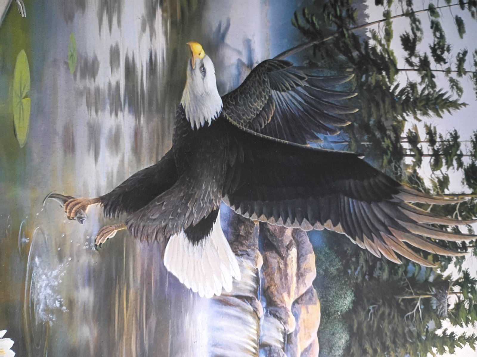 Desert Storm National Parks Bald Eagle Boundary Waters Leo Stans 1990 Framed