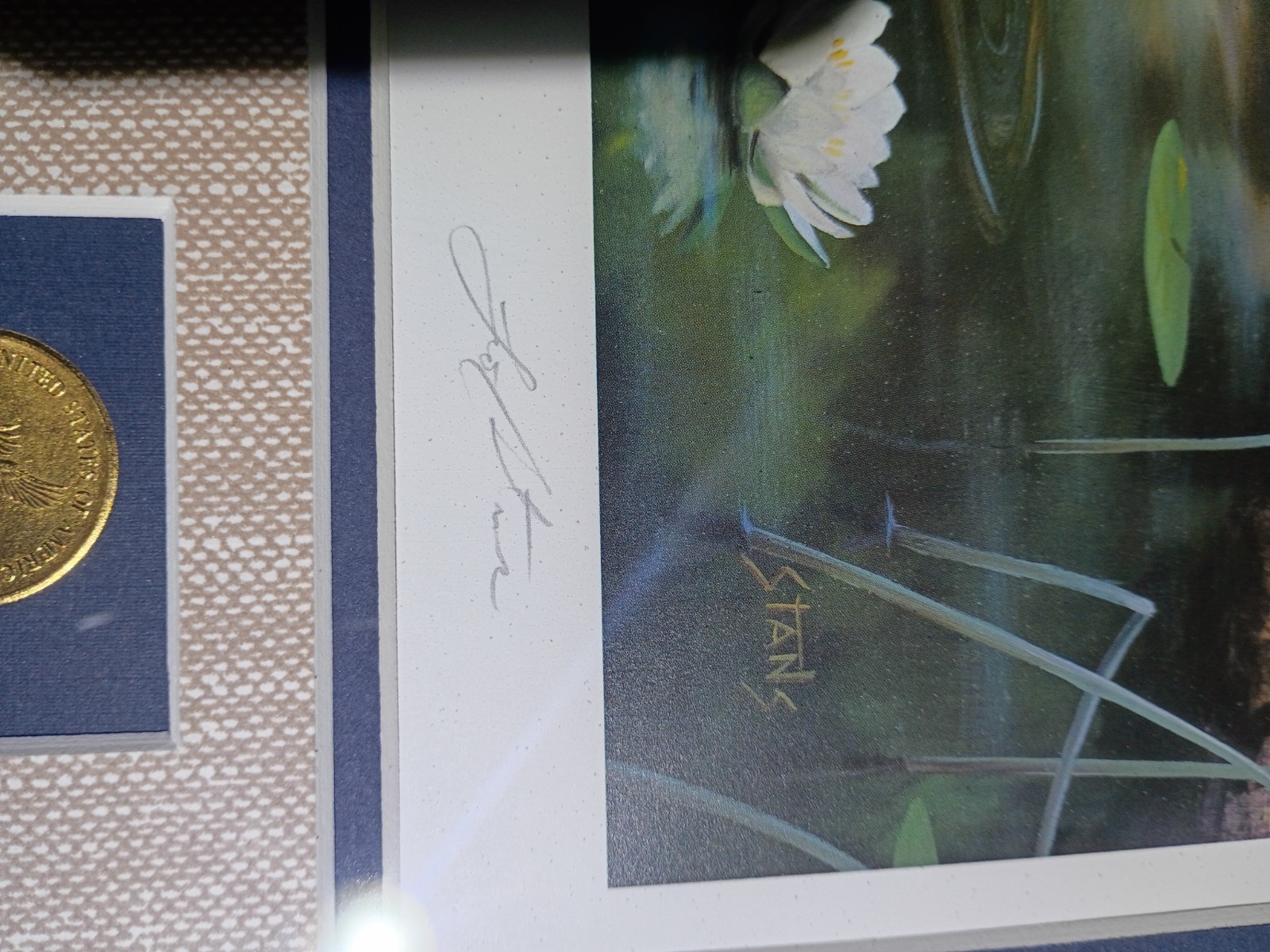 Desert Storm National Parks Bald Eagle Boundary Waters Leo Stans 1990 Framed