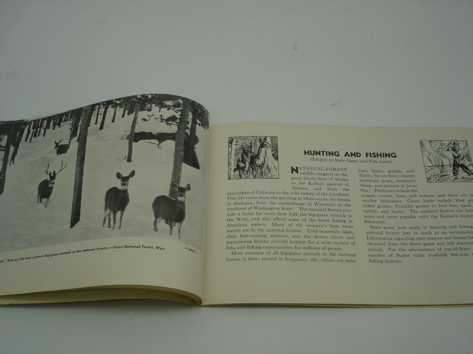 1960 NATIONAL FOREST VACATION Book Parks by State Scenic Drives Picnics Guide