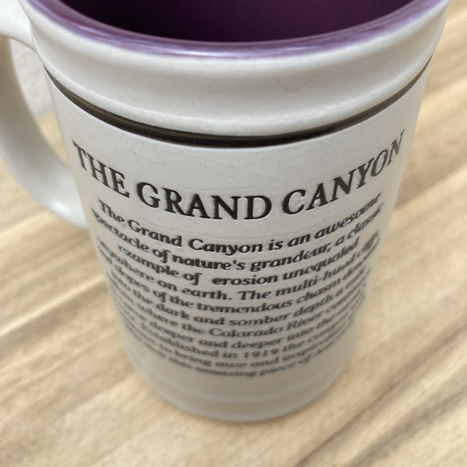 Grand Canyon National Park USA Embossed Beer Stein Coffee Mug Purple Interior 5″
