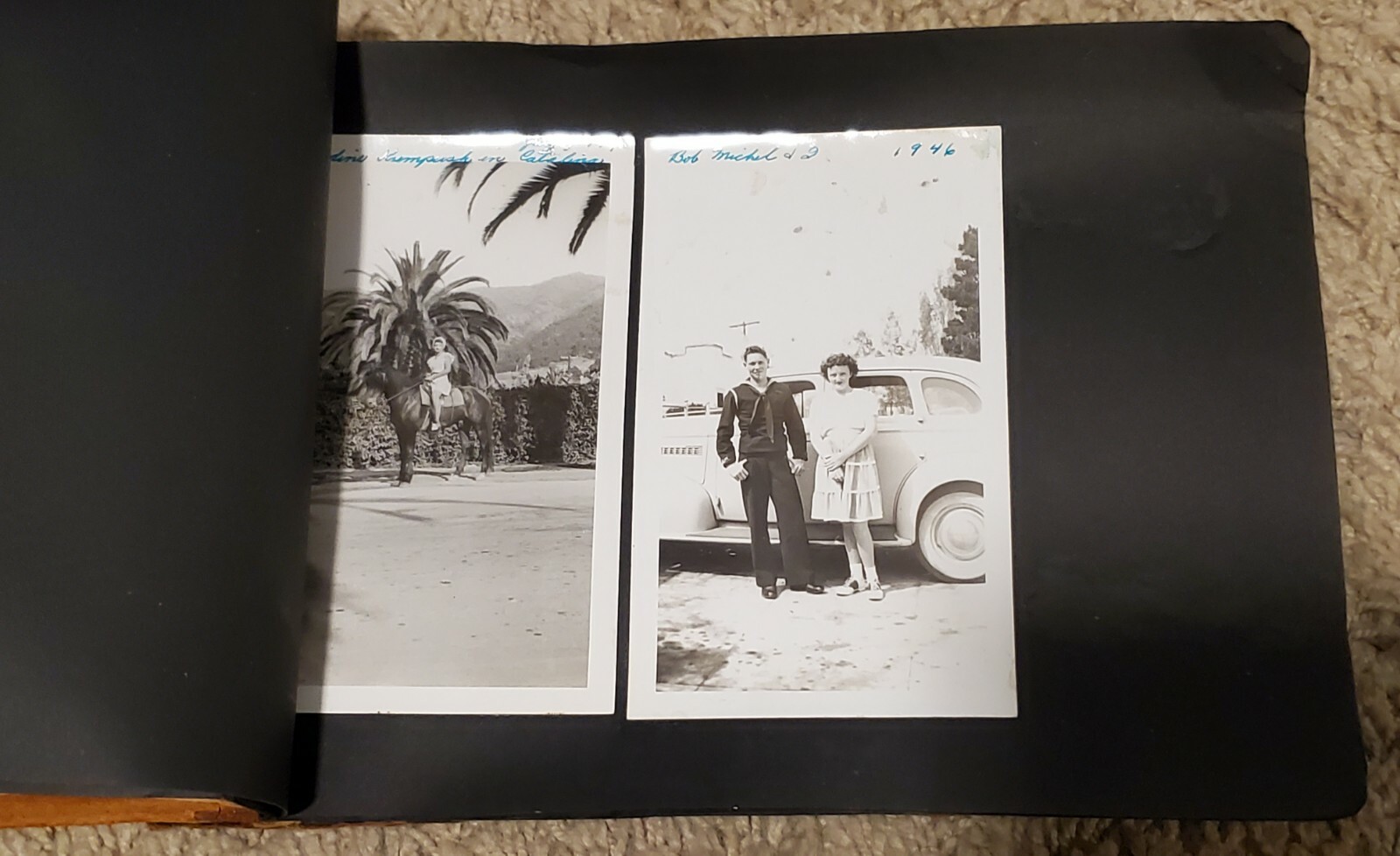 Vintage 1900’s Leather Photo Album B/W Photos Sequoia Nat’l. Park Gen. Sherman