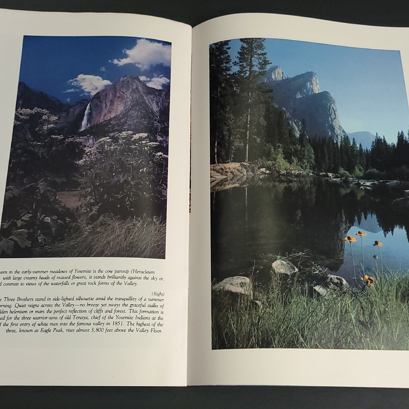 1978 National Park Booklet THE FOUR SEASONS OF YOSEMITE Morgenson Photos Text