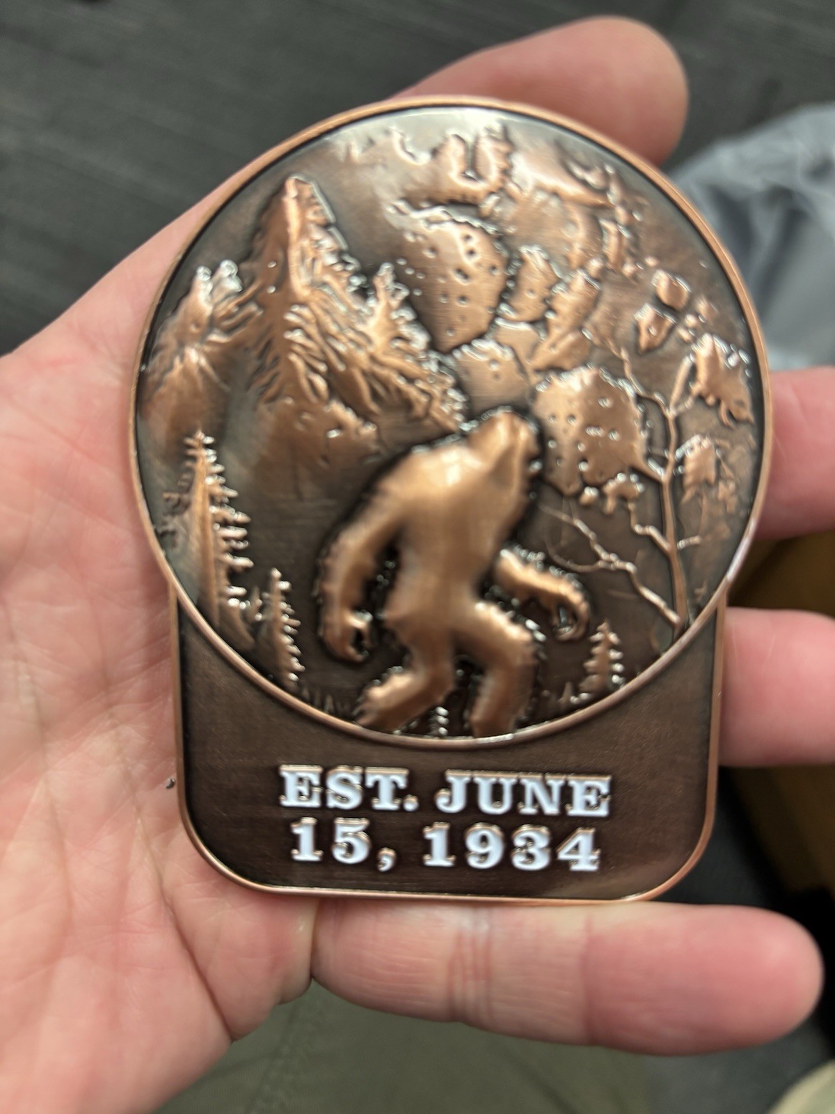 Great Smoky Mountains National Park- National Park Service Challenge Coin