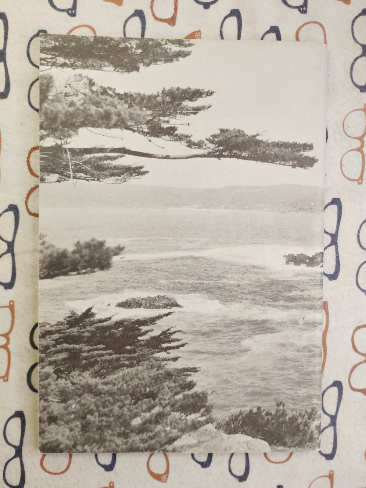 Point Lobos Reserve State Park 1954 Booklet PB CA Division of Beaches & Parks