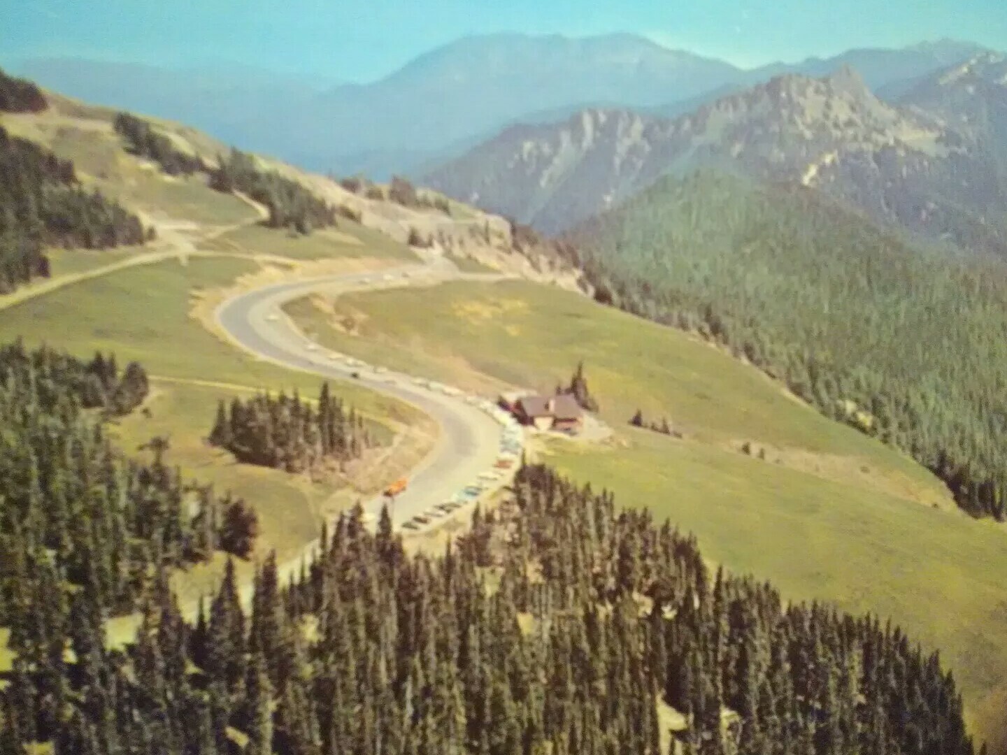 POST CARD HURRICANE RIDGE – OLYMPIC NATIONAL PARK WASHINGTON
