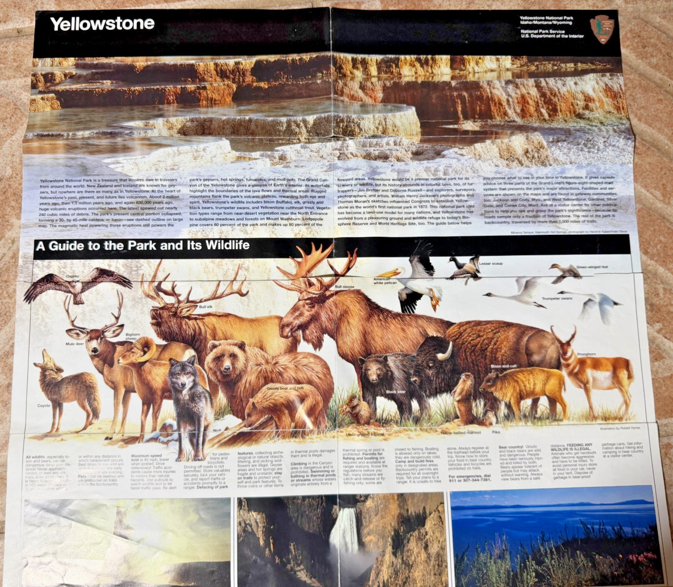 Vintage Yellowstone National Park Map Brochure Wildlife US Dept of Interior x 2!