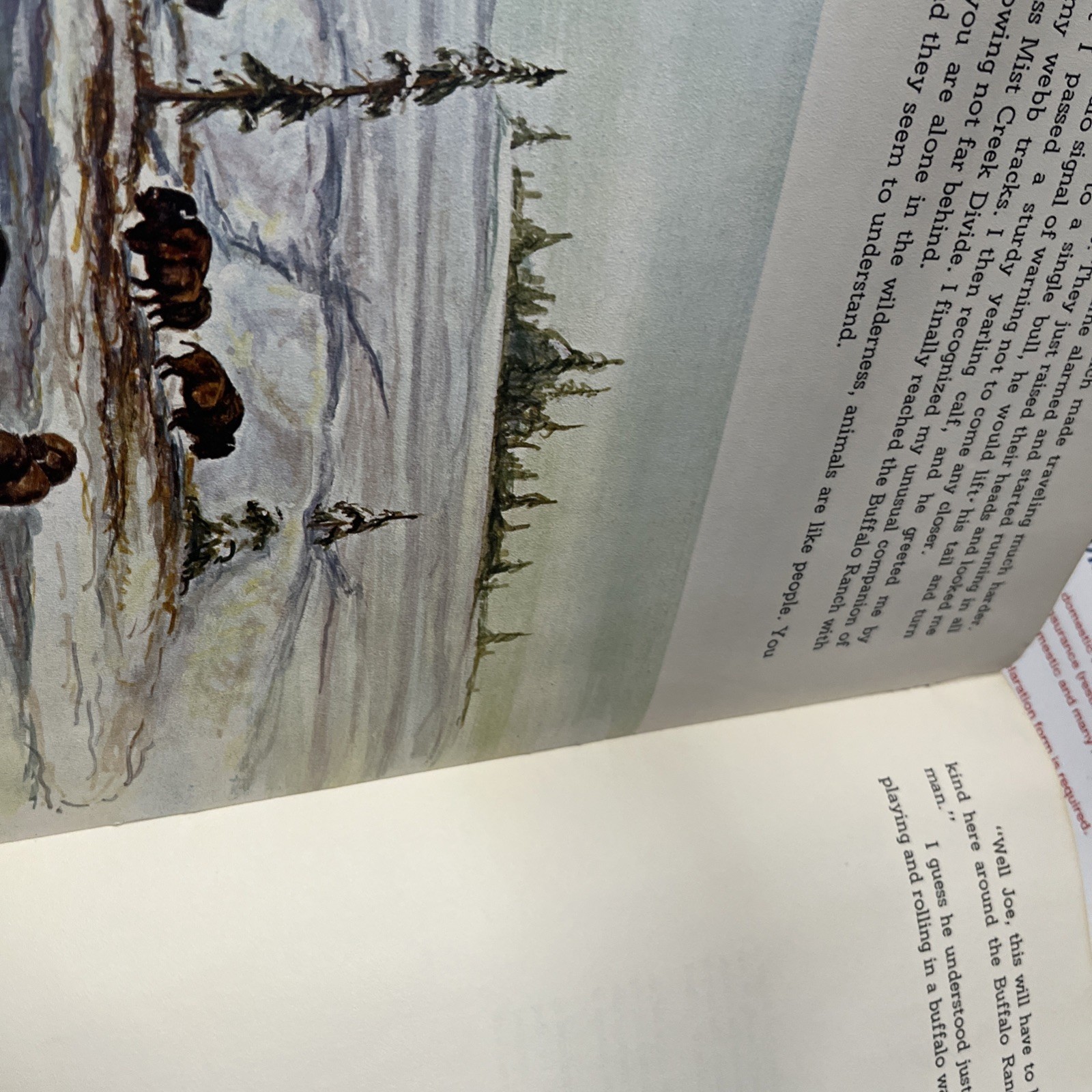 Vintage Yellowstone National Park & Buffalo Bill Cody Country Story Book