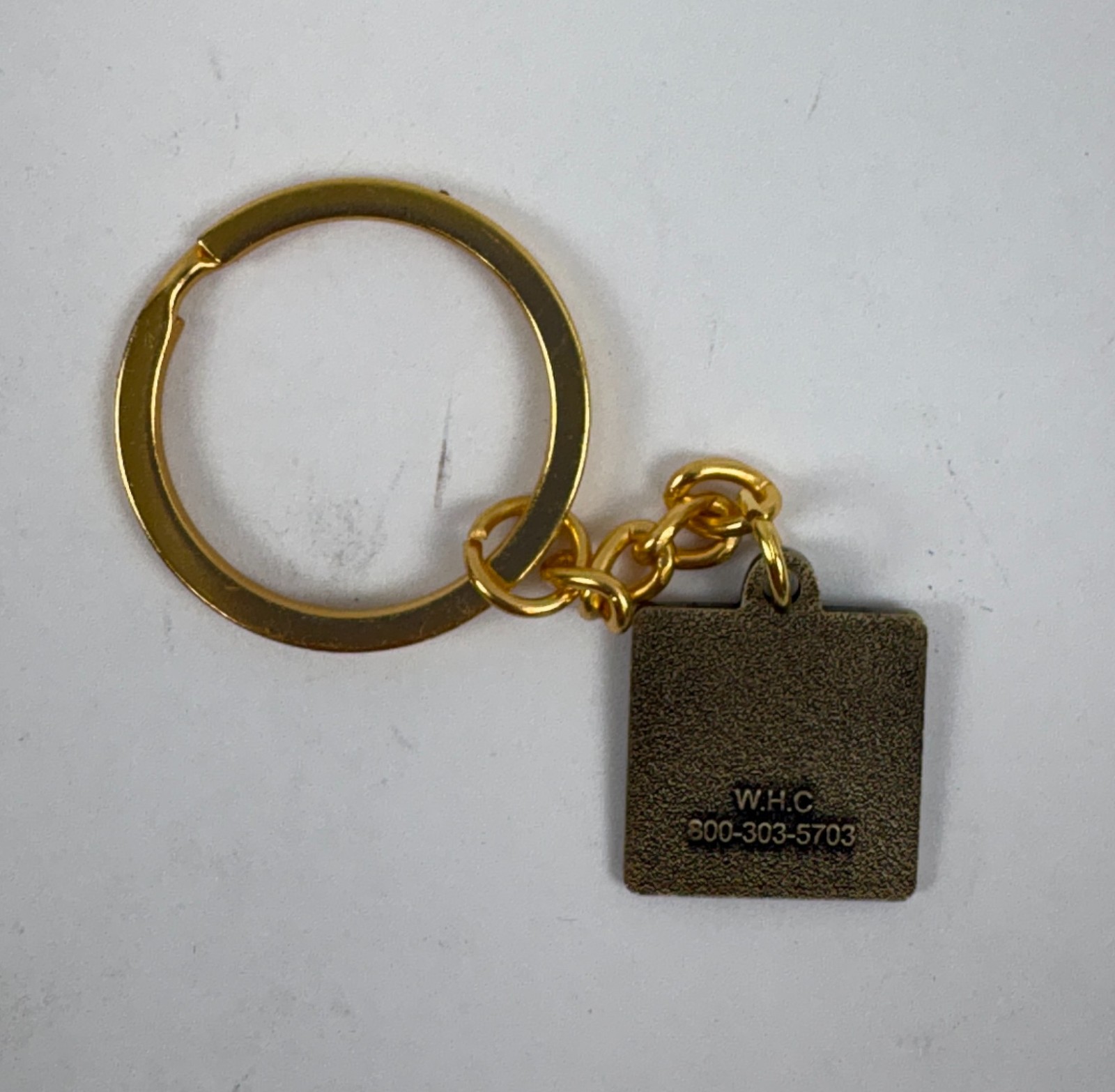 Vintage US Forest Service Volunteer Keychain Western Heritage Set of 3