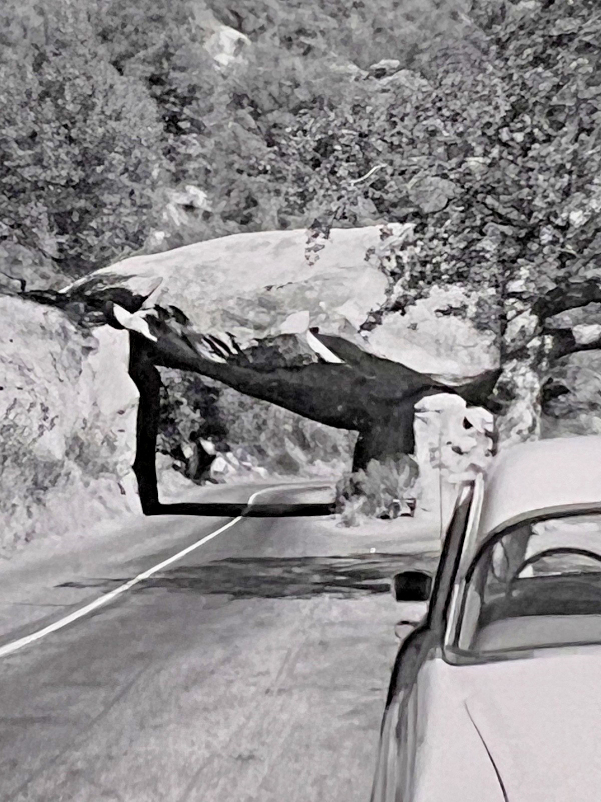 Sequoia National Park TUNNEL ROCK 1955 Original Photo GENERALS HWY History 9E