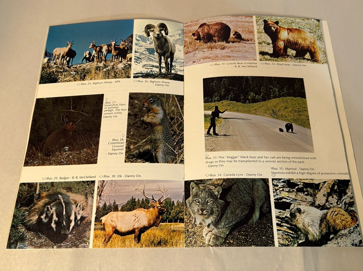VTG 70s Glacier Nat’l Park Book Bundle; Glacier & Waterton Lakes, Logan Pass+