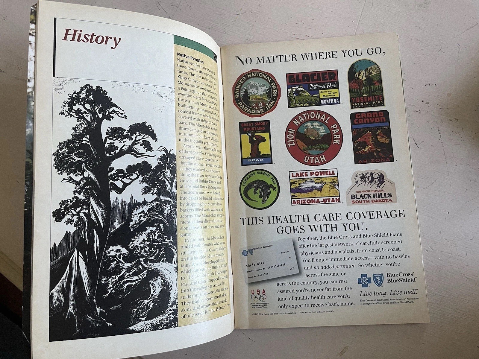 1994 SEQUOIA AND KINGS CANYON NATIONAL PARKS SOUVENIR BOOKLET Brochure