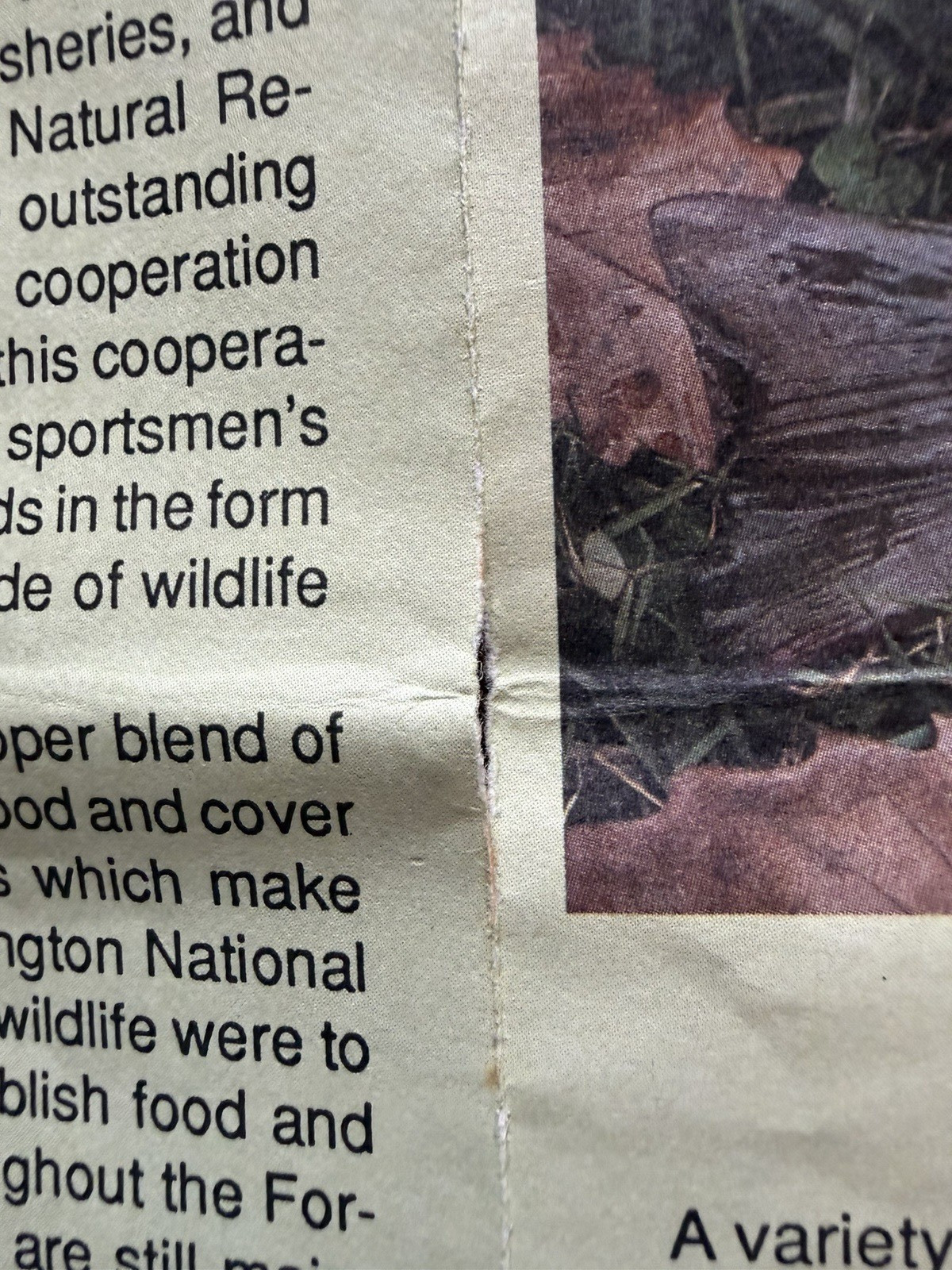 Vtg George Washington National Forest Pedlar Ranger District Map 1988 USDA