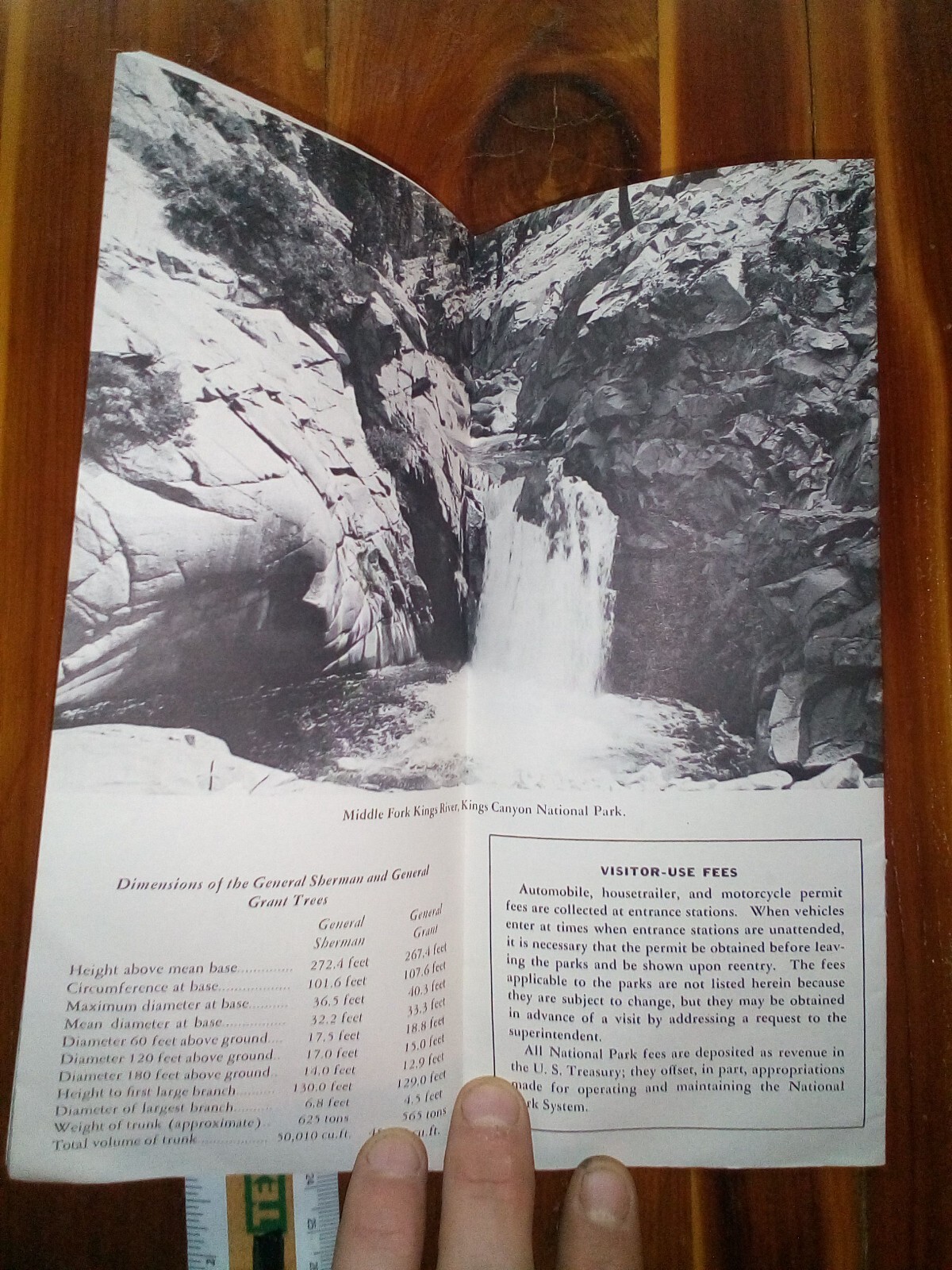 1959 Vintage Sequoia Kings Canyon National Parks Trail Map Memorabilia