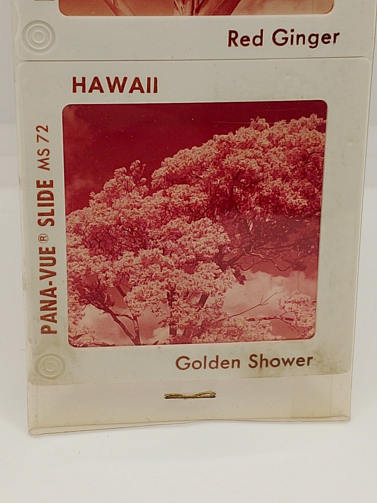 Vintage Pana Vue 4, 2×2 Color Slides Hawaiian Flowers Hibiscus, Bird Of Paradise