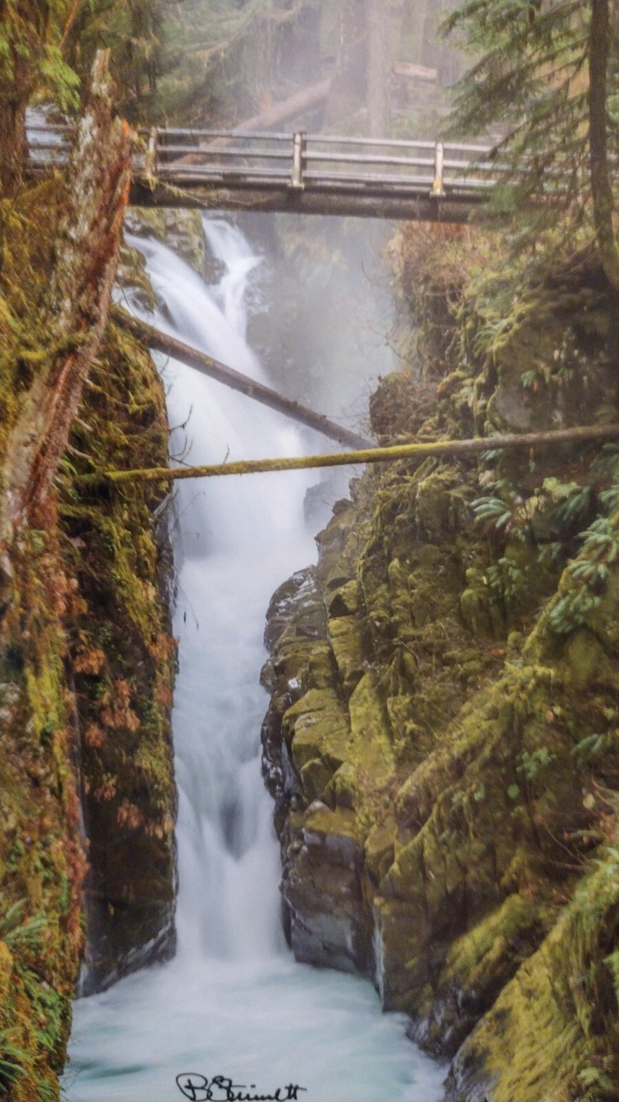 8 X 10 GREETING CARD “SOL DUC FALLS” OLYMPIC NATIONAL PARK WASHINGTON PACIFIC