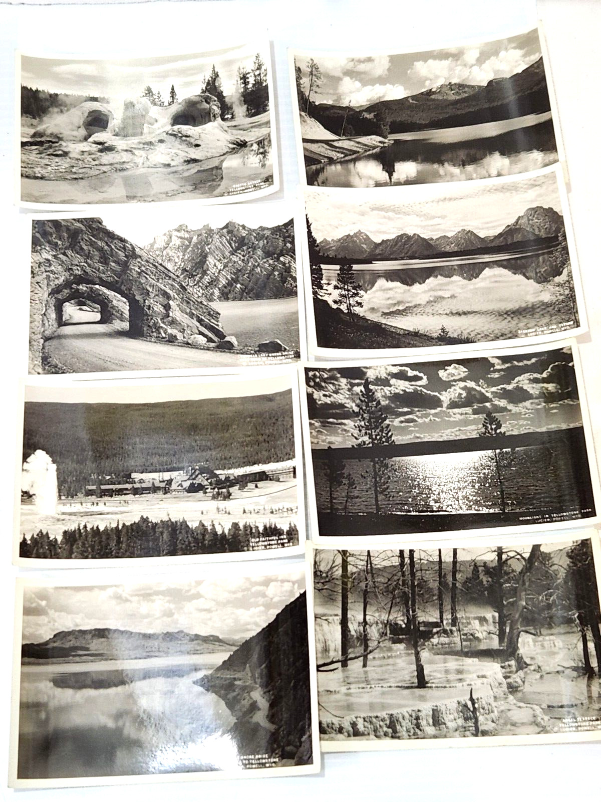 Lot of 28 Vintage Souvenir Yellowstone Park Black and White Photos 4″x6″