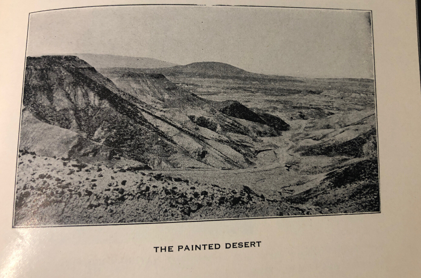 1950 Ancient Landscapes Grand Canyon,Zion,Bryce,painted Desert Etc Illustr.