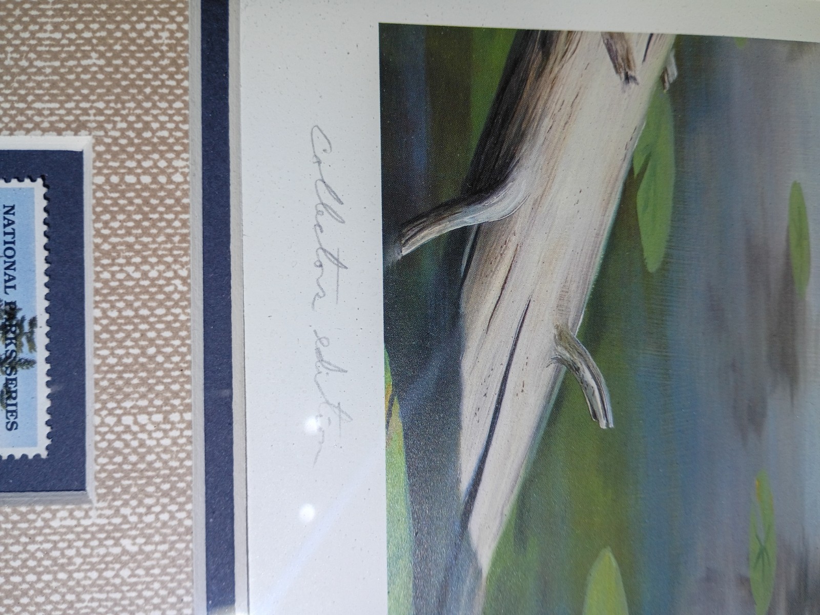 Desert Storm National Parks Bald Eagle Boundary Waters Leo Stans 1990 Framed